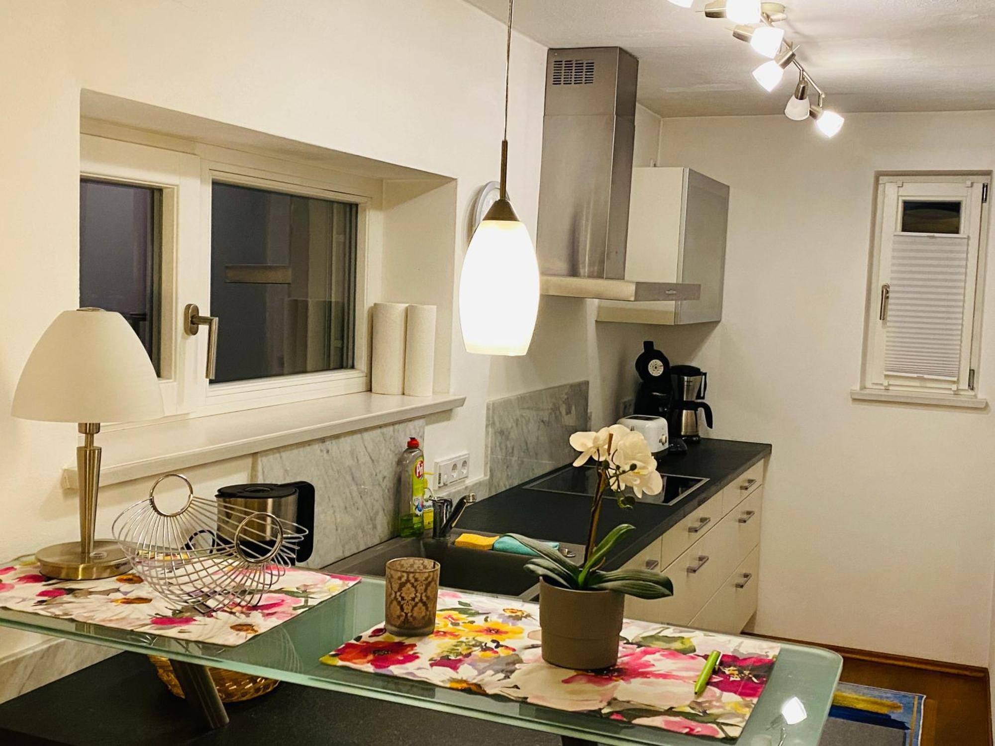 Fewo Luxus Wohnung Im Eigenen Ferienhaus, 120 Qm, Naehe Regensburg Mit Balkon, Terrasse & Garten, Gute Zuganbindung Laber Dış mekan fotoğraf